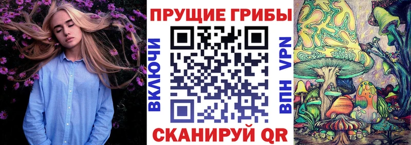 Галлюциногенные грибы Magic Shrooms  Купить закладки  Уфа 